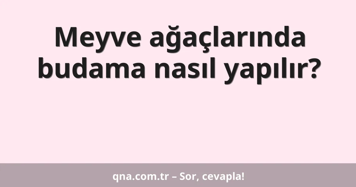 Meyve ağaçlarında budama nasıl yapılır?