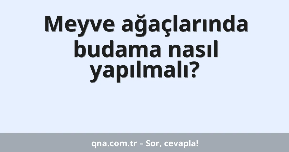 Meyve ağaçlarında budama nasıl yapılmalı?