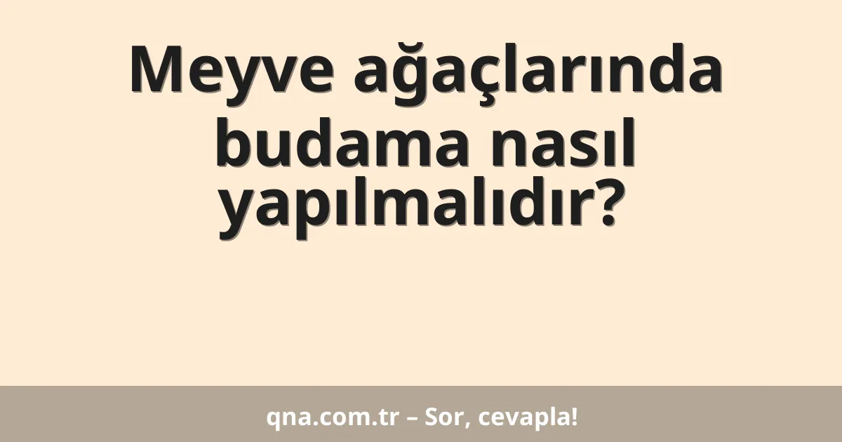 Meyve ağaçlarında budama nasıl yapılmalıdır?