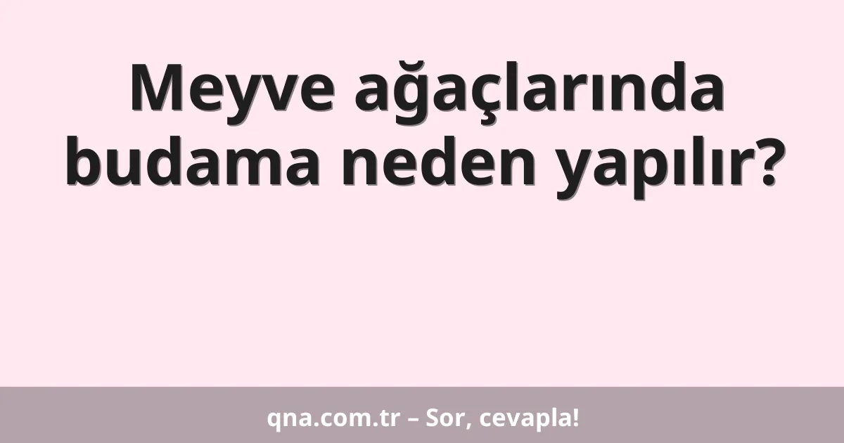 Meyve ağaçlarında budama neden yapılır?