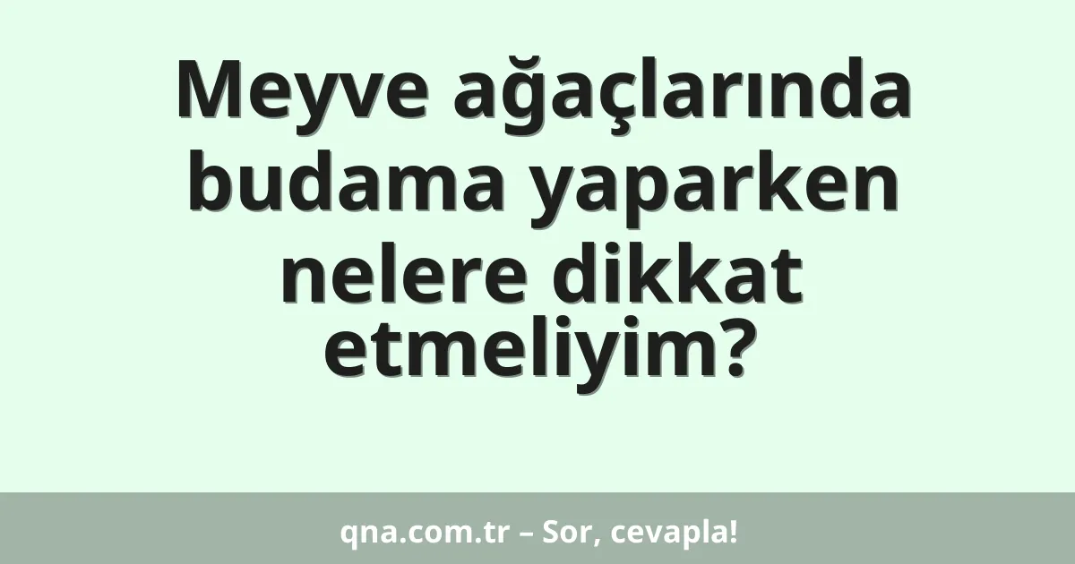 Meyve ağaçlarında budama yaparken nelere dikkat etmeliyim?