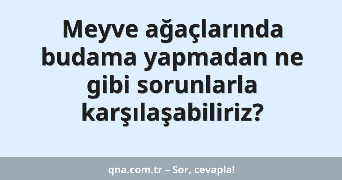 Meyve ağaçlarında budama yapmadan ne gibi sorunlarla karşılaşabiliriz?