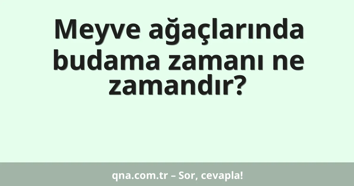 Meyve ağaçlarında budama zamanı ne zamandır?