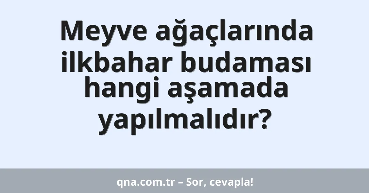 Meyve ağaçlarında ilkbahar budaması hangi aşamada yapılmalıdır?