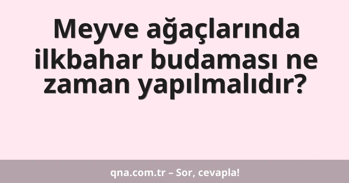 Meyve ağaçlarında ilkbahar budaması ne zaman yapılmalıdır?