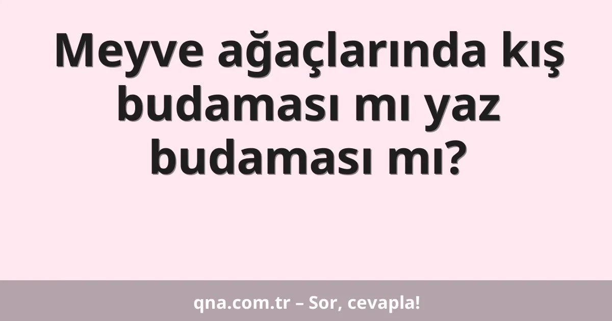 Meyve ağaçlarında kış budaması mı yaz budaması mı?