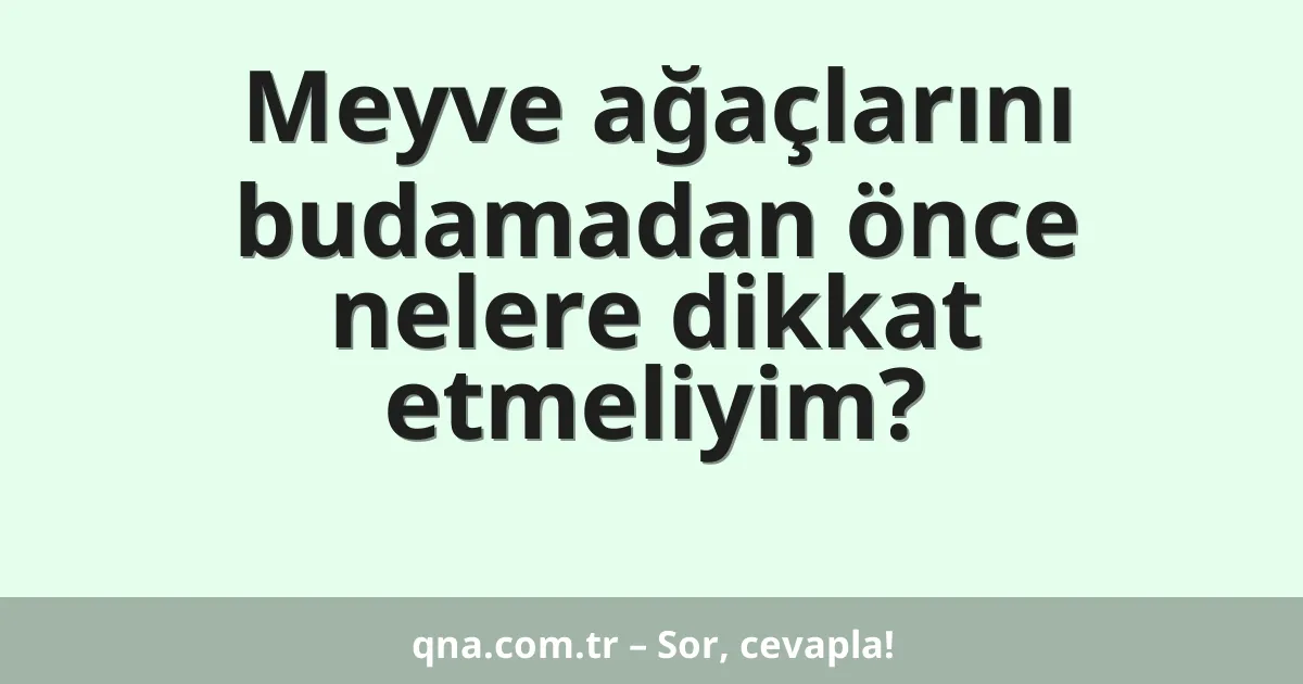 Meyve ağaçlarını budamadan önce nelere dikkat etmeliyim?