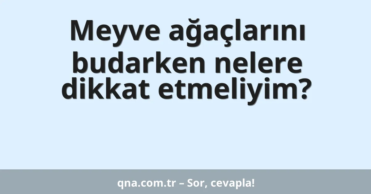Meyve ağaçlarını budarken nelere dikkat etmeliyim?