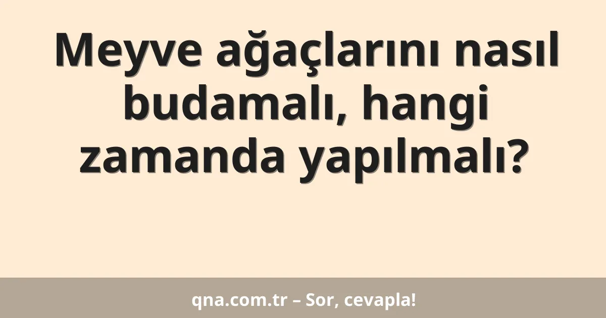 Meyve ağaçlarını nasıl budamalı, hangi zamanda yapılmalı?