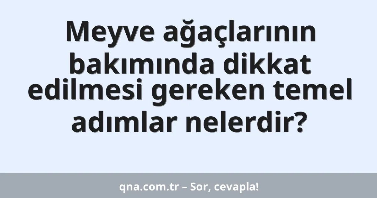 Meyve ağaçlarının bakımında dikkat edilmesi gereken temel adımlar nelerdir?