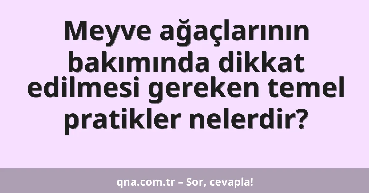 Meyve ağaçlarının bakımında dikkat edilmesi gereken temel pratikler nelerdir?