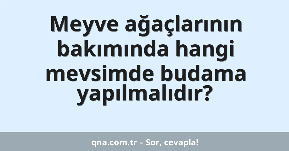 Meyve ağaçlarının bakımında hangi mevsimde budama yapılmalıdır?