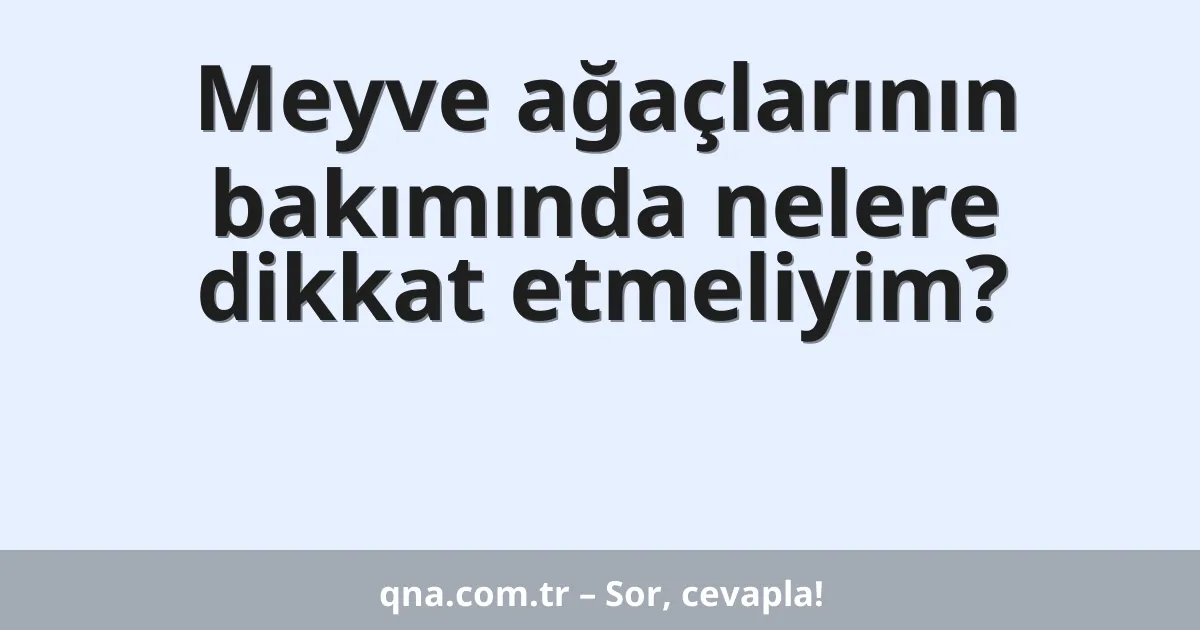 Meyve ağaçlarının bakımında nelere dikkat etmeliyim?