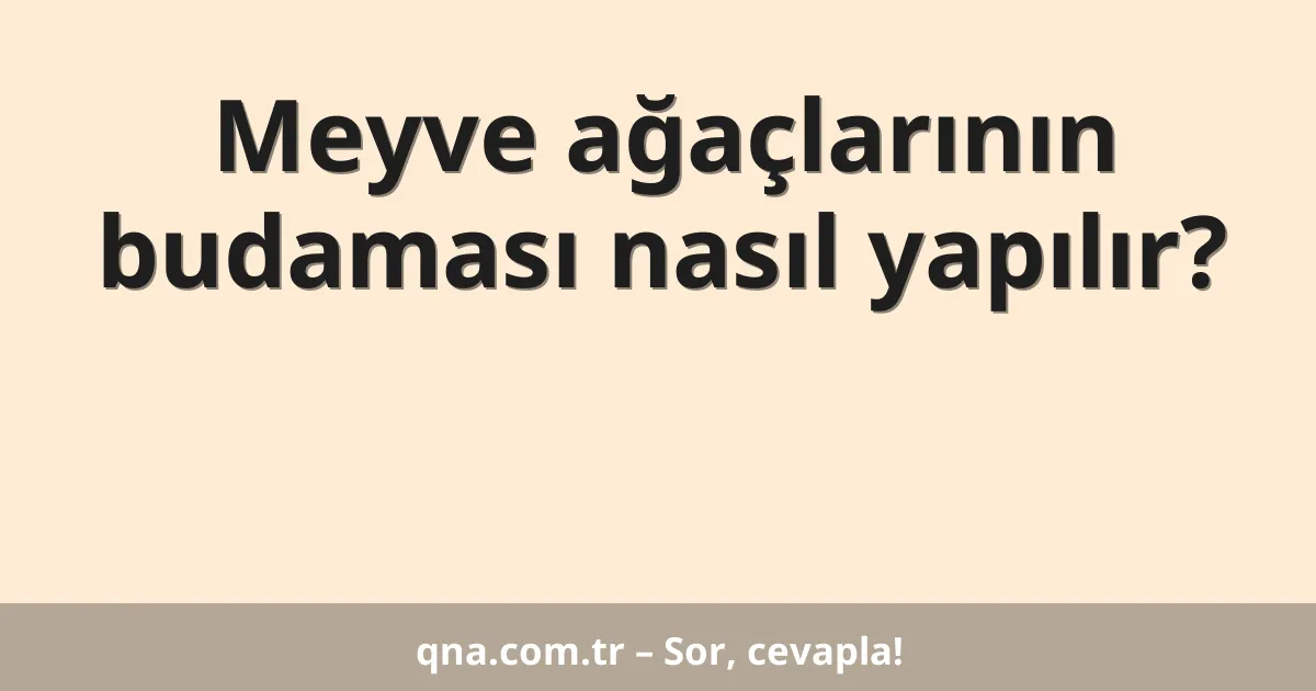 Meyve ağaçlarının budaması nasıl yapılır?