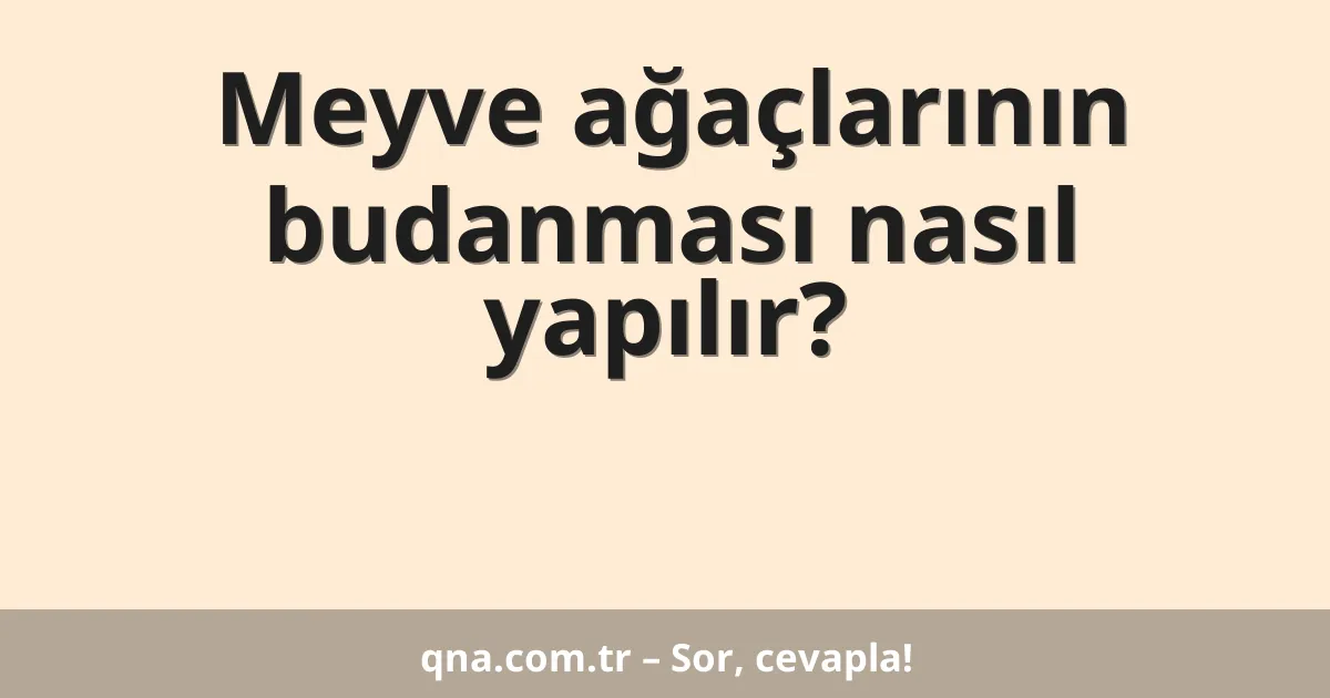 Meyve ağaçlarının budanması nasıl yapılır?
