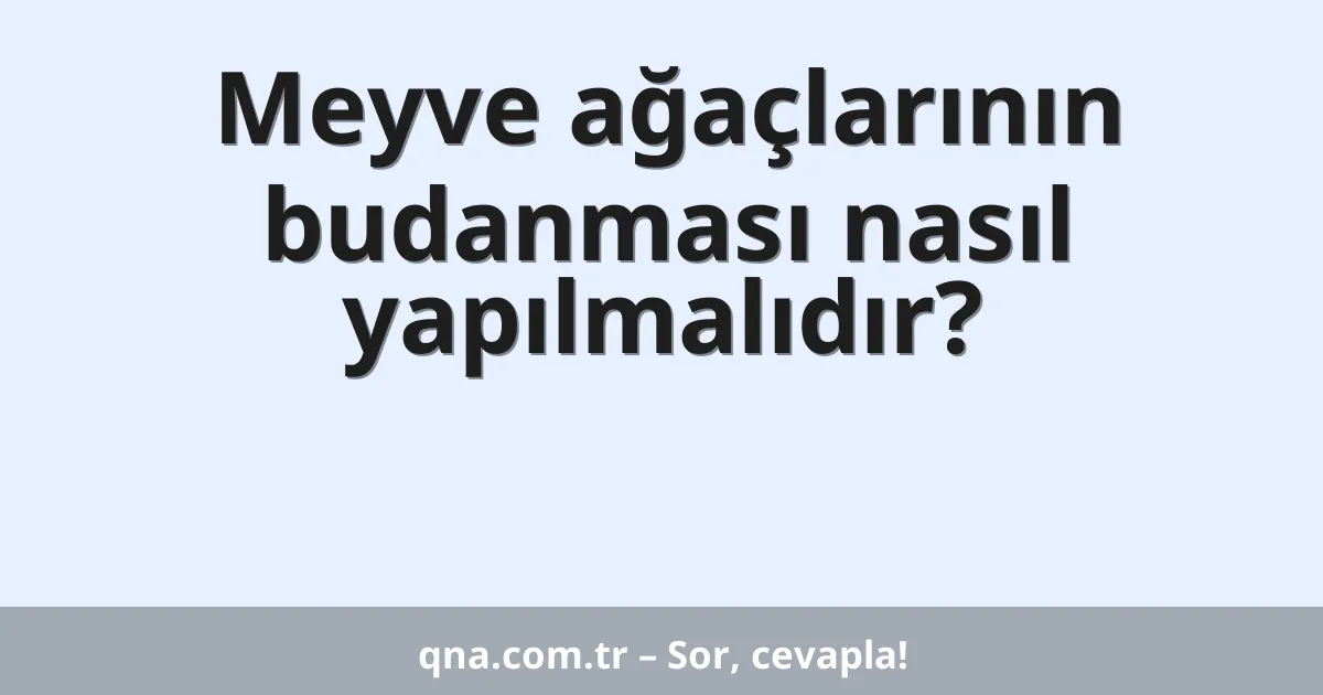 Meyve ağaçlarının budanması nasıl yapılmalıdır?