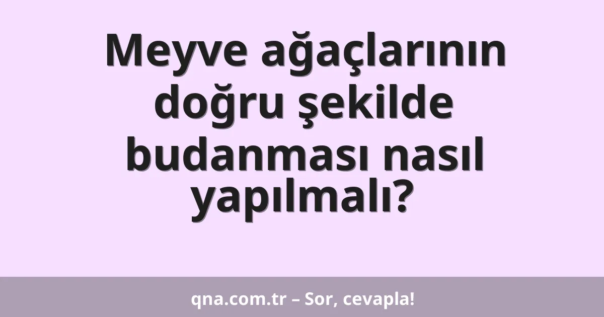 Meyve ağaçlarının doğru şekilde budanması nasıl yapılmalı?