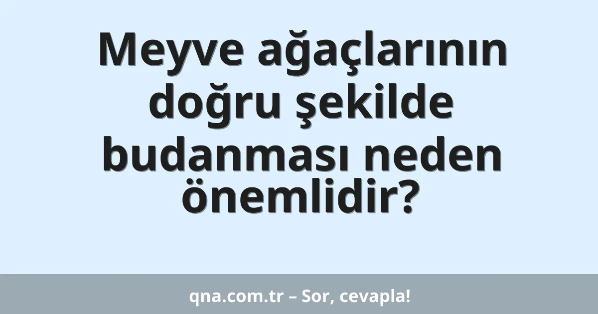 Meyve ağaçlarının doğru şekilde budanması neden önemlidir?