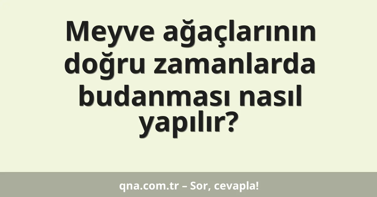 Meyve ağaçlarının doğru zamanlarda budanması nasıl yapılır?
