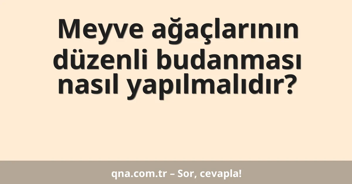 Meyve ağaçlarının düzenli budanması nasıl yapılmalıdır?