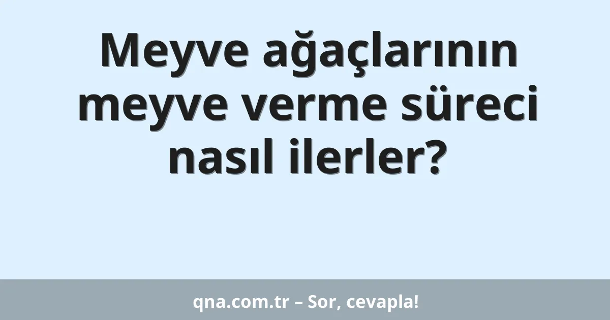 Meyve ağaçlarının meyve verme süreci nasıl ilerler?