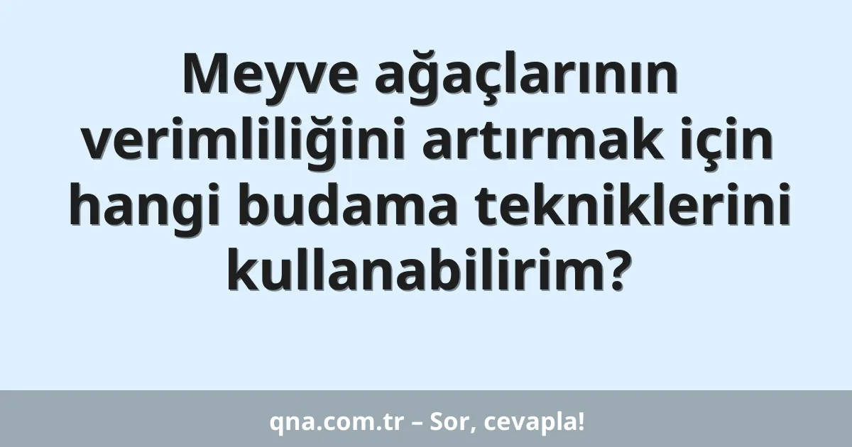Meyve ağaçlarının verimliliğini artırmak için hangi budama tekniklerini kullanabilirim?
