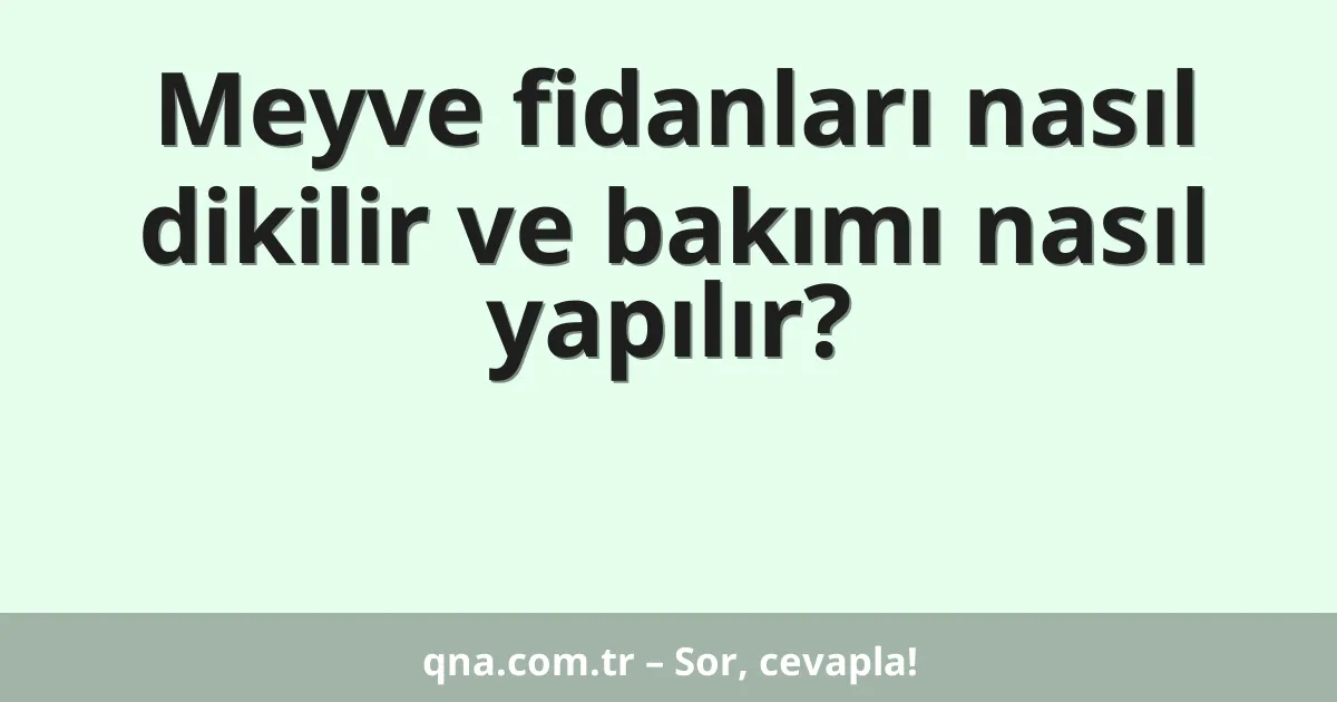 Meyve fidanları nasıl dikilir ve bakımı nasıl yapılır?