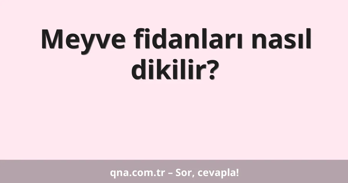 Meyve fidanları nasıl dikilir?