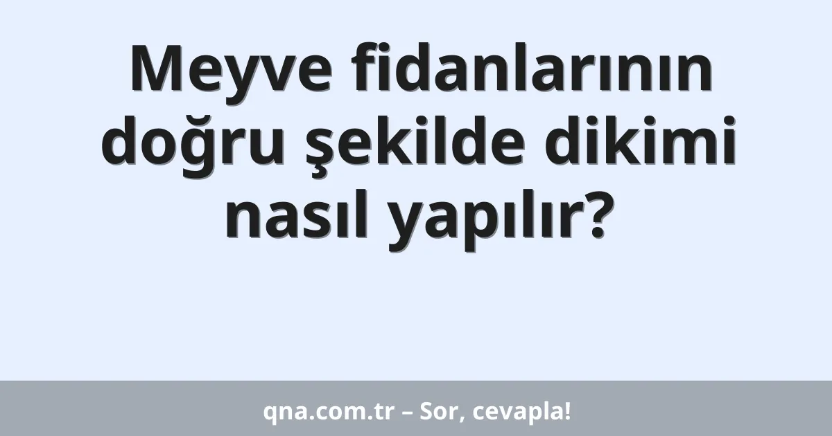 Meyve fidanlarının doğru şekilde dikimi nasıl yapılır?