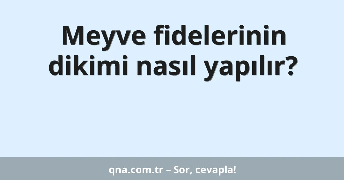 Meyve fidelerinin dikimi nasıl yapılır?