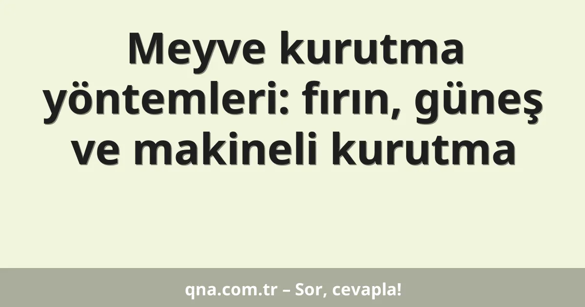 Meyve kurutma yöntemleri: fırın, güneş ve makineli kurutma