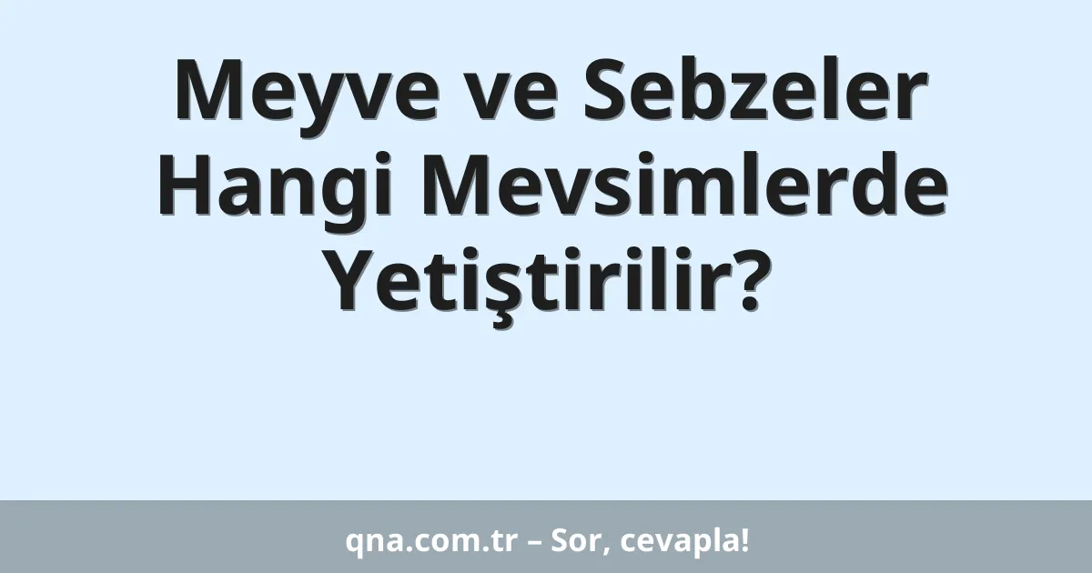 Meyve ve Sebzeler Hangi Mevsimlerde Yetiştirilir?
