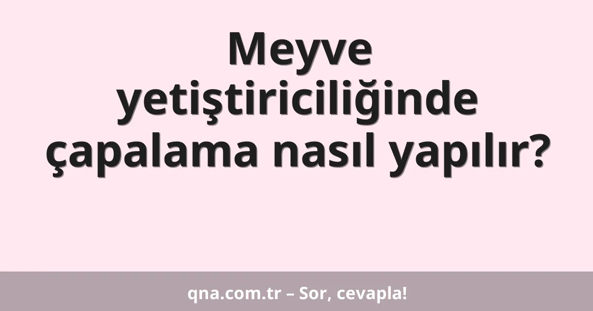 Meyve yetiştiriciliğinde çapalama nasıl yapılır?