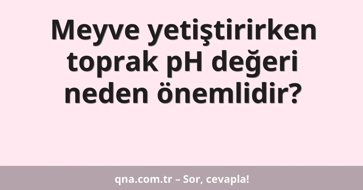 Meyve yetiştirirken toprak pH değeri neden önemlidir?
