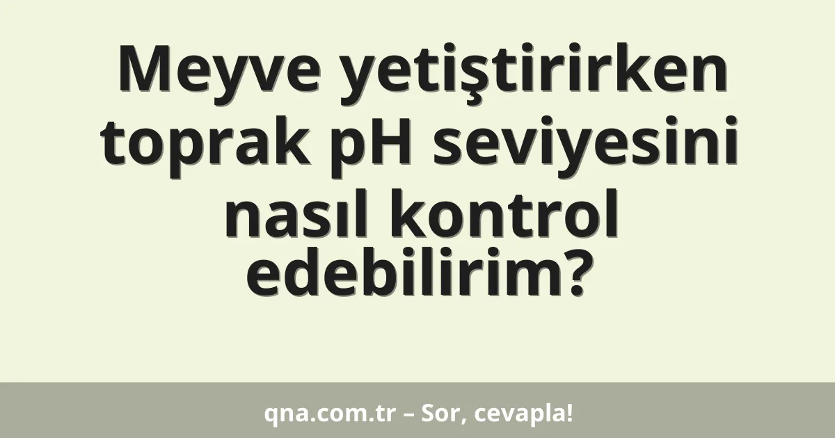 Meyve yetiştirirken toprak pH seviyesini nasıl kontrol edebilirim?