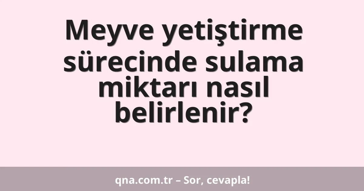 Meyve yetiştirme sürecinde sulama miktarı nasıl belirlenir?