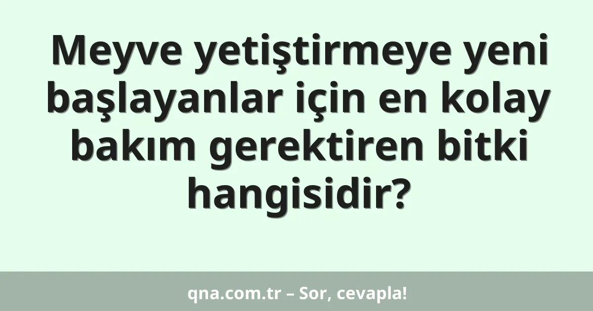 Meyve yetiştirmeye yeni başlayanlar için en kolay bakım gerektiren bitki hangisidir?
