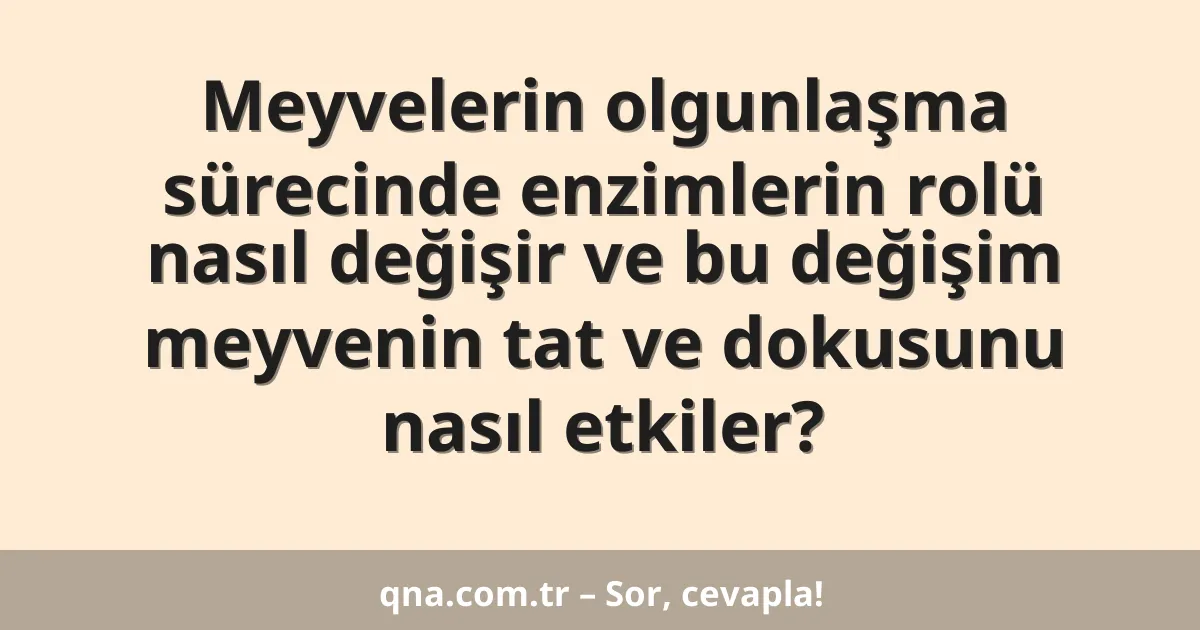 Meyvelerin olgunlaşma sürecinde enzimlerin rolü nasıl değişir ve bu değişim meyvenin tat ve dokusunu nasıl etkiler?