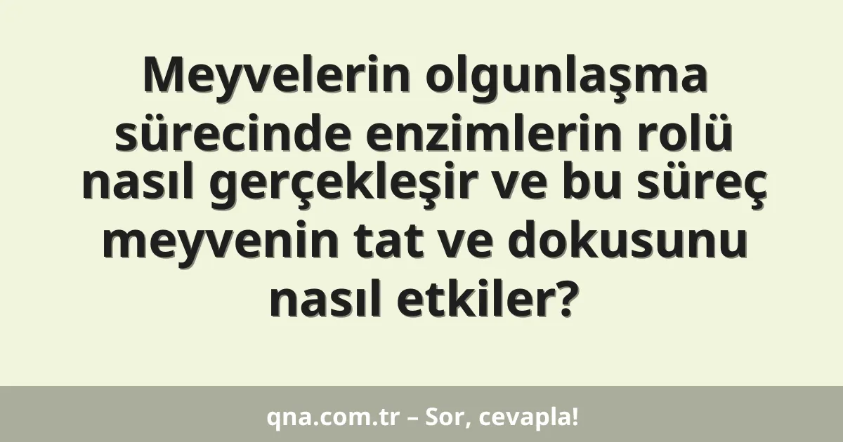 Meyvelerin olgunlaşma sürecinde enzimlerin rolü nasıl gerçekleşir ve bu süreç meyvenin tat ve dokusunu nasıl etkiler?