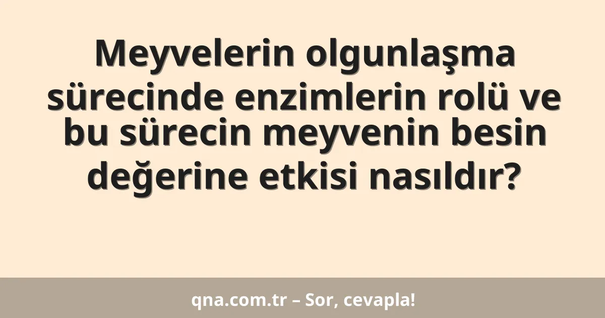 Meyvelerin olgunlaşma sürecinde enzimlerin rolü ve bu sürecin meyvenin besin değerine etkisi nasıldır?