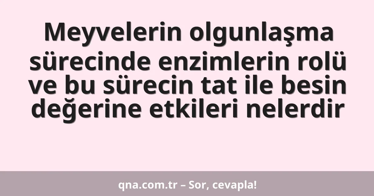 Meyvelerin olgunlaşma sürecinde enzimlerin rolü ve bu sürecin tat ile besin değerine etkileri nelerdir