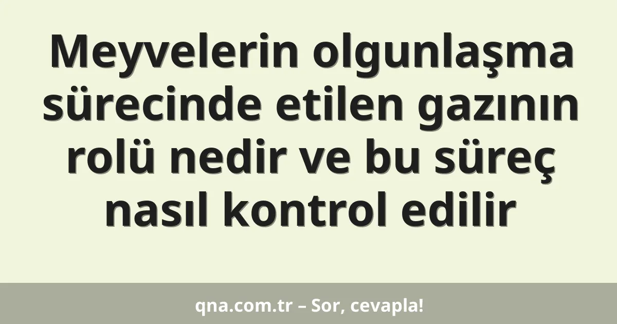 Meyvelerin olgunlaşma sürecinde etilen gazının rolü nedir ve bu süreç nasıl kontrol edilir