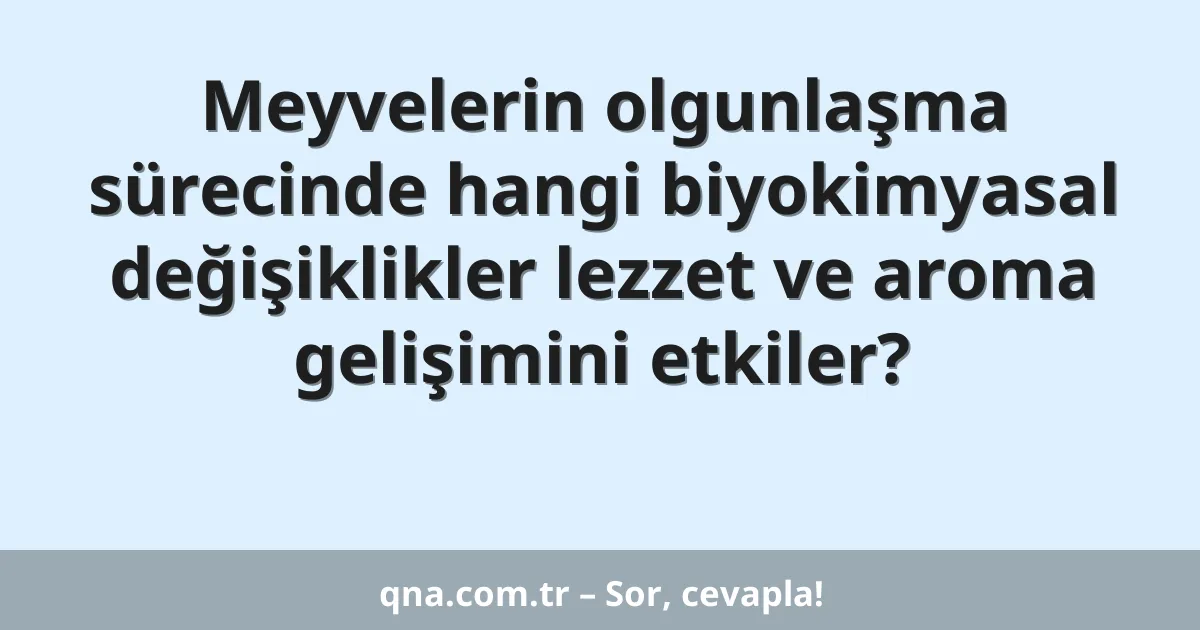 Meyvelerin olgunlaşma sürecinde hangi biyokimyasal değişiklikler lezzet ve aroma gelişimini etkiler?