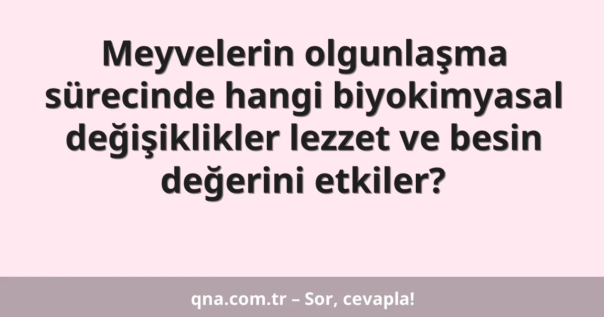 Meyvelerin olgunlaşma sürecinde hangi biyokimyasal değişiklikler lezzet ve besin değerini etkiler?