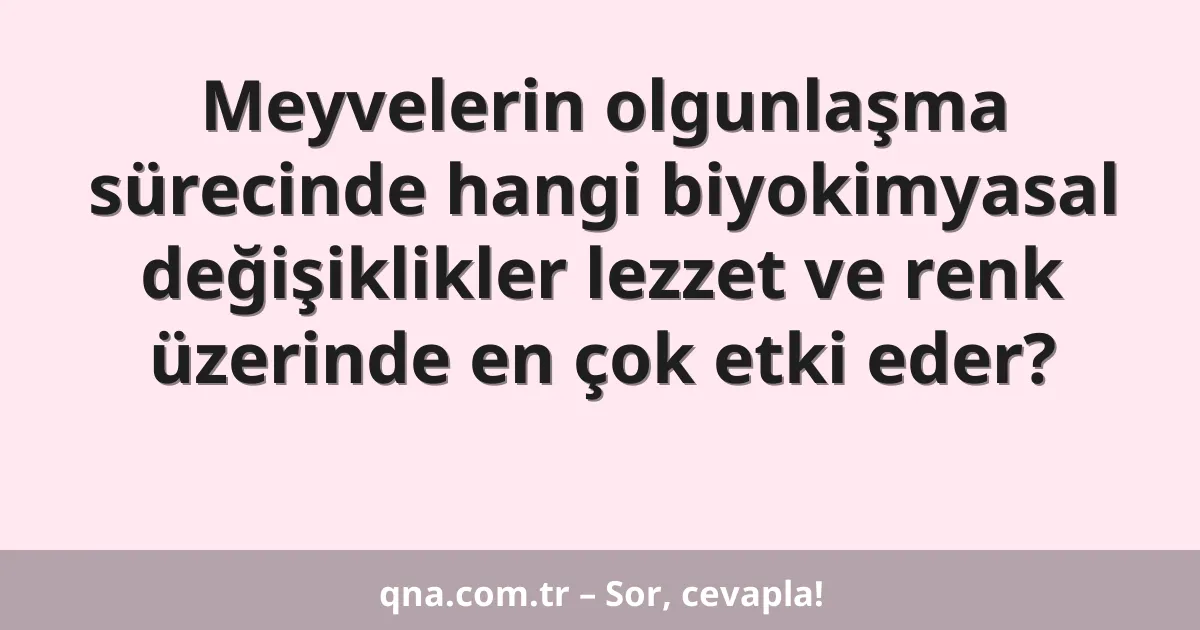 Meyvelerin olgunlaşma sürecinde hangi biyokimyasal değişiklikler lezzet ve renk üzerinde en çok etki eder?