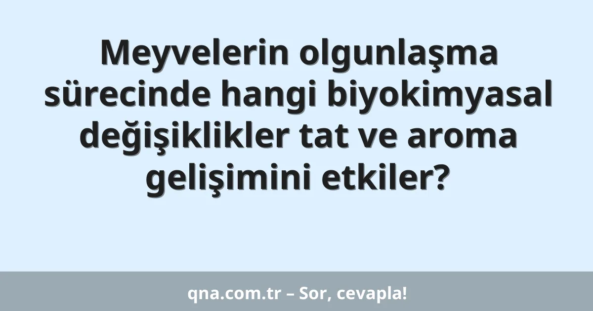 Meyvelerin olgunlaşma sürecinde hangi biyokimyasal değişiklikler tat ve aroma gelişimini etkiler?