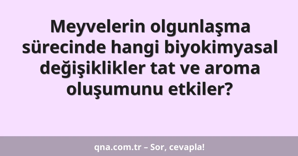 Meyvelerin olgunlaşma sürecinde hangi biyokimyasal değişiklikler tat ve aroma oluşumunu etkiler?