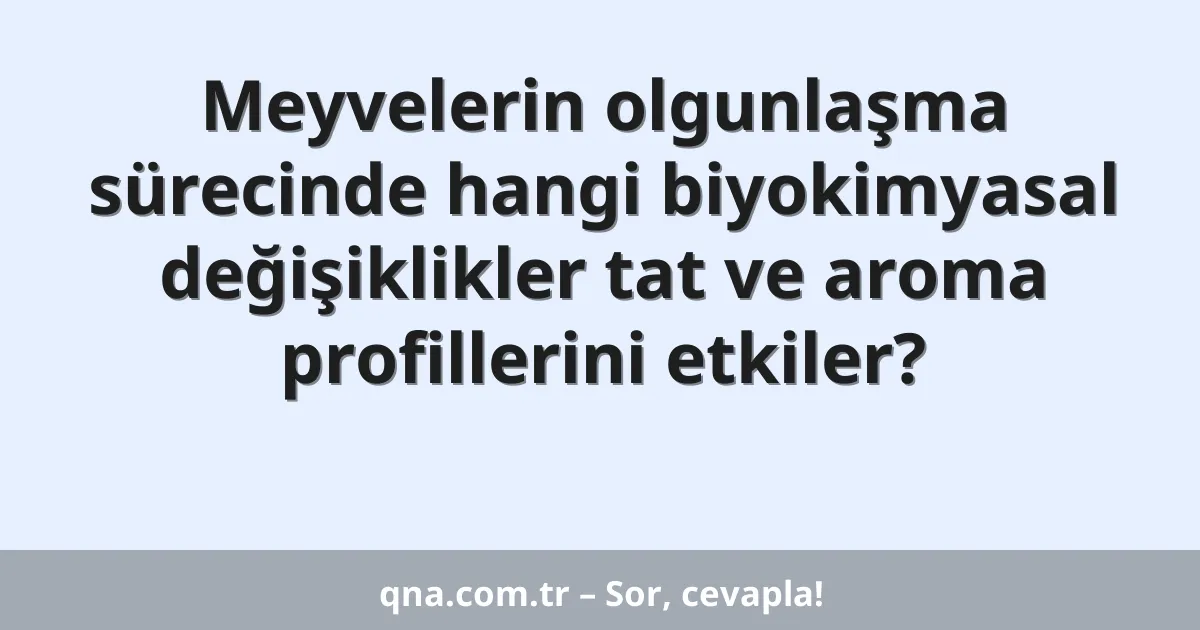 Meyvelerin olgunlaşma sürecinde hangi biyokimyasal değişiklikler tat ve aroma profillerini etkiler?