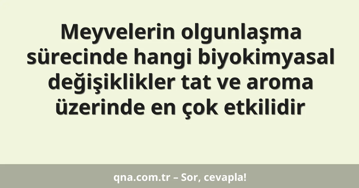 Meyvelerin olgunlaşma sürecinde hangi biyokimyasal değişiklikler tat ve aroma üzerinde en çok etkilidir