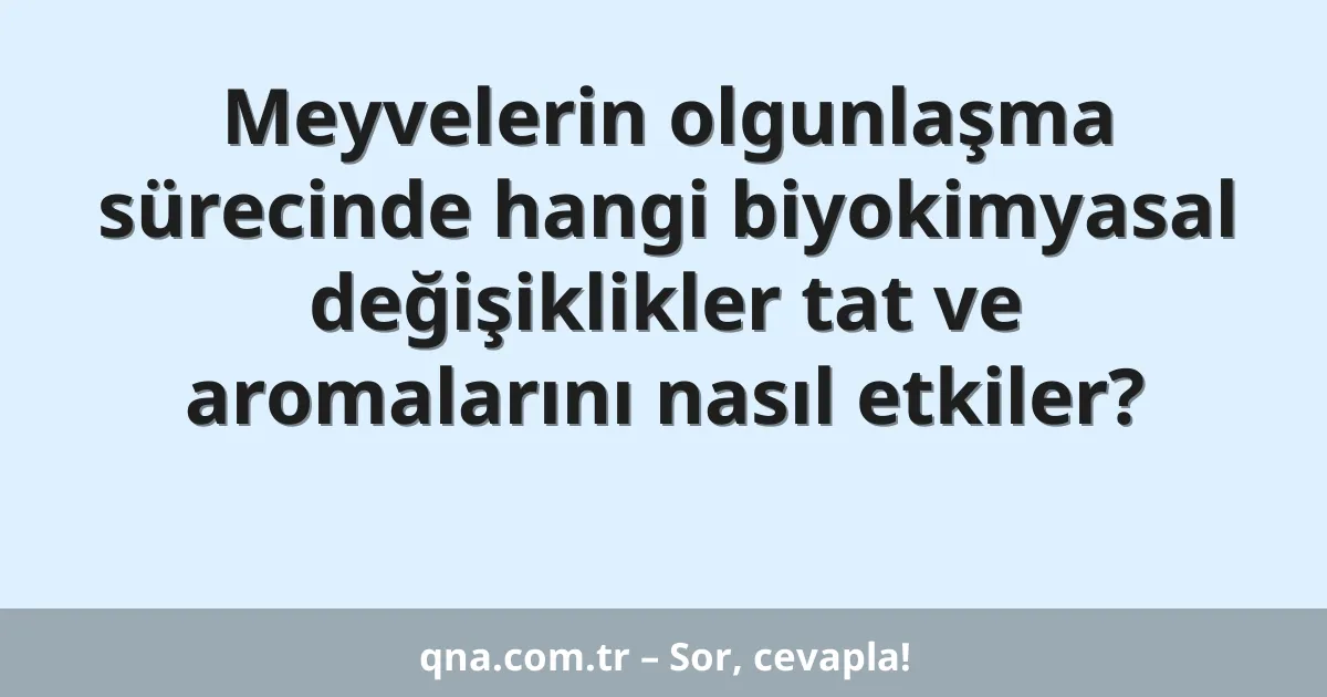 Meyvelerin olgunlaşma sürecinde hangi biyokimyasal değişiklikler tat ve aromalarını nasıl etkiler?